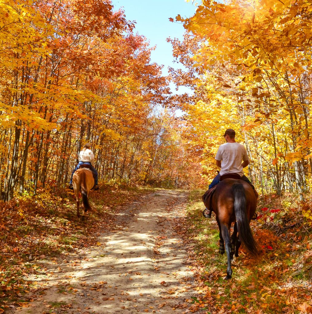 Two riders on horseback navigate a dirt path through a scenic landscape.